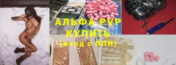 метадон Богданович