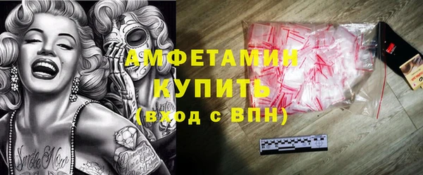 метадон Богданович